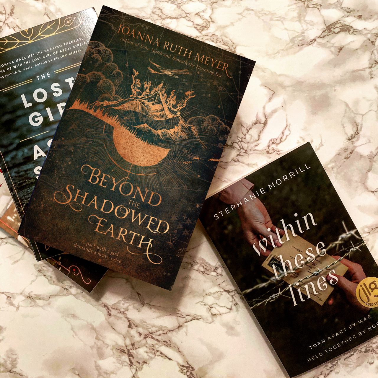 Shadowed Earth Review – Beyond the Shadowed Earth by Joanna Ruth Meyer – Books Over ...